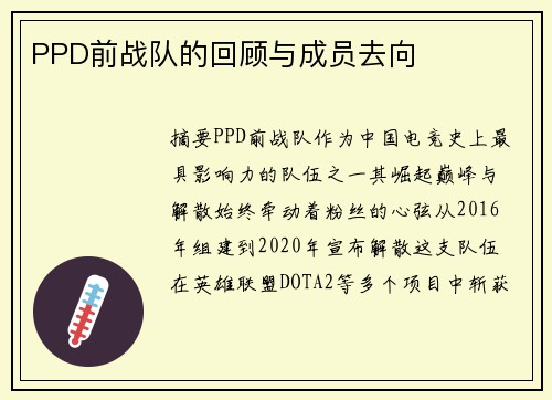 PPD前战队的回顾与成员去向